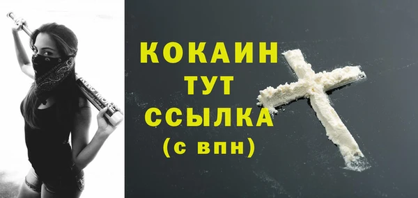таблы Бородино
