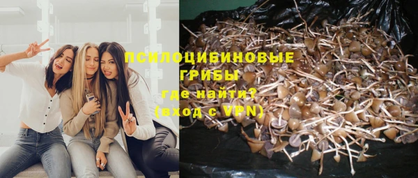 винт Богородск