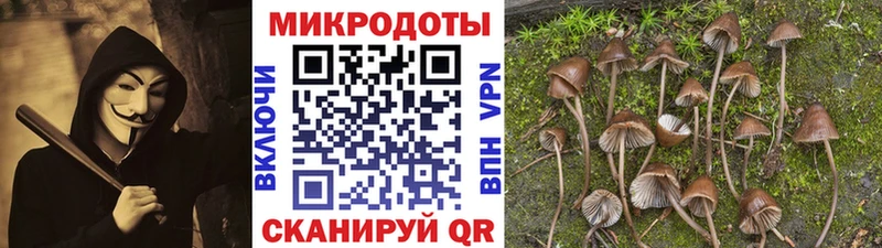 купить  цена  Афипский  Псилоцибиновые грибы прущие грибы 
